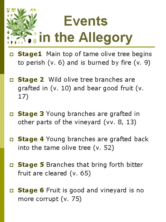 Events in the Allegory p Stage 1 Main top of tame olive tree begins