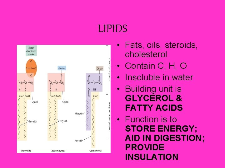 LIPIDS • Fats, oils, steroids, cholesterol • Contain C, H, O • Insoluble in