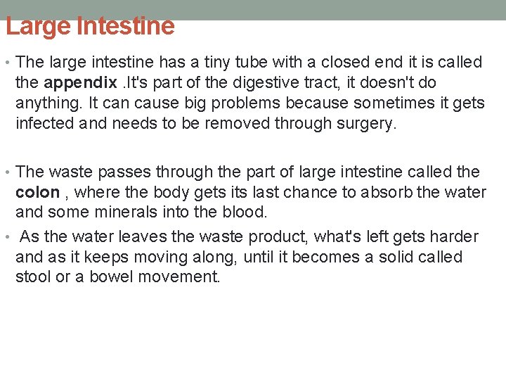 Large Intestine • The large intestine has a tiny tube with a closed end