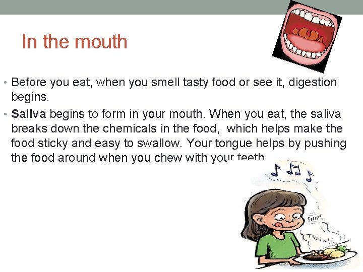 In the mouth • Before you eat, when you smell tasty food or see