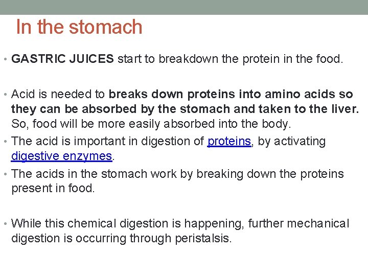 In the stomach • GASTRIC JUICES start to breakdown the protein in the food.