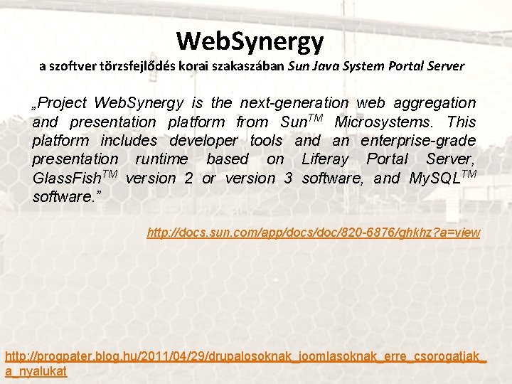 Web. Synergy a szoftver törzsfejlődés korai szakaszában Sun Java System Portal Server „Project Web.