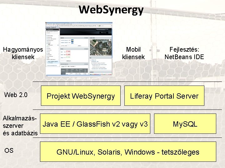 Web. Synergy Hagyományos kliensek Web 2. 0 Alkalmazásszerver és adatbázis OS Mobil kliensek Projekt