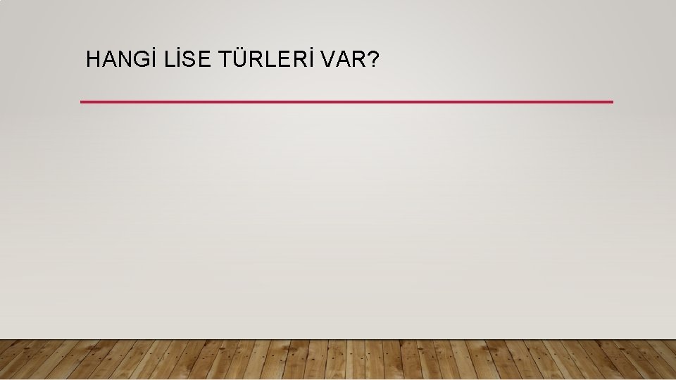 HANGİ LİSE TÜRLERİ VAR? 