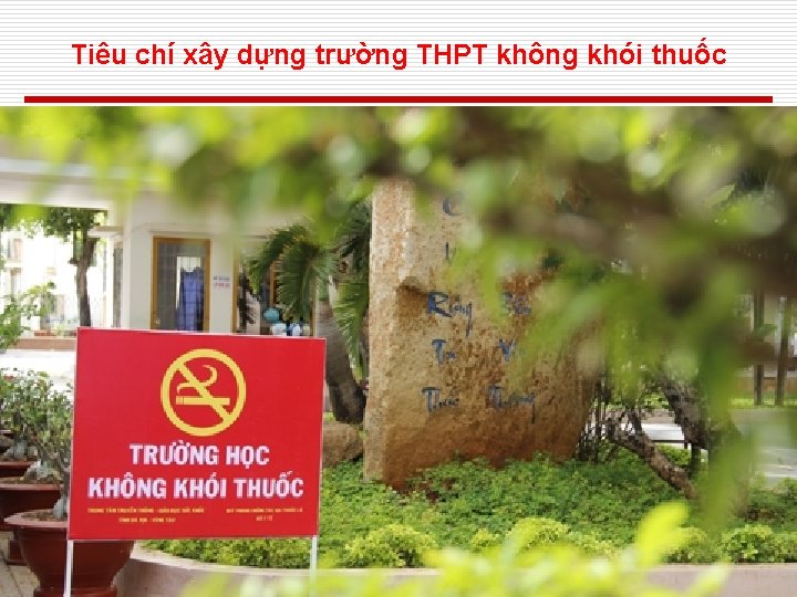 Tiêu chí xây dựng trường THPT không khói thuốc 21 