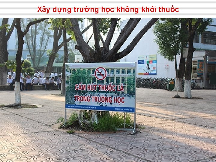 Xây dựng trường học không khói thuốc 38 