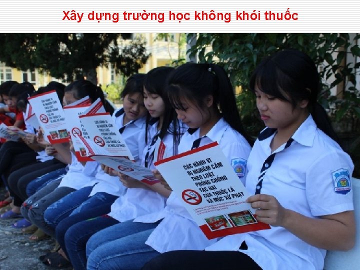 Xây dựng trường học không khói thuốc 41 