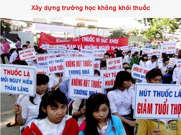 Xây dựng trường học không khói thuốc 42 