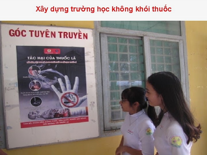 Xây dựng trường học không khói thuốc 45 