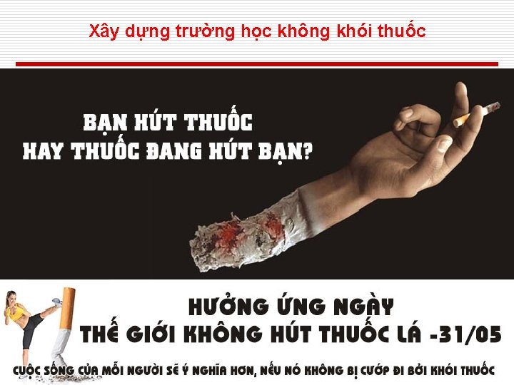 Xây dựng trường học không khói thuốc 46 