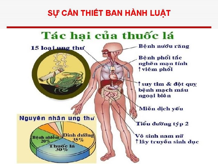 SỰ CẦN THIẾT BAN HÀNH LUẬT 7 