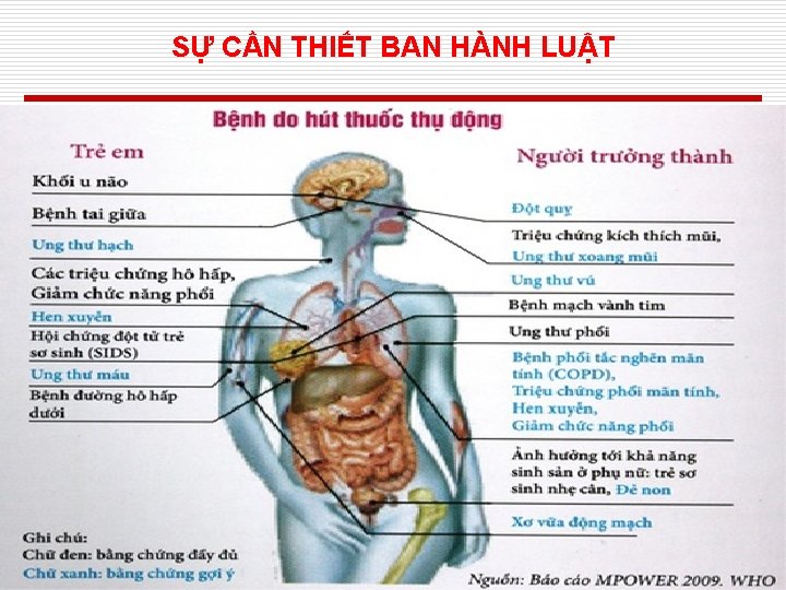 SỰ CẦN THIẾT BAN HÀNH LUẬT 8 