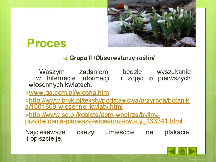 Proces Grupa II /Obserwatorzy roślin/ Waszym zadaniem będzie wyszukanie w Internecie informacji i zdjęć