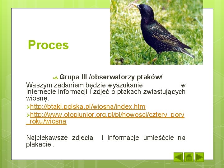 Proces Grupa III /obserwatorzy ptaków/ Waszym zadaniem będzie wyszukanie w Internecie informacji i zdjęć