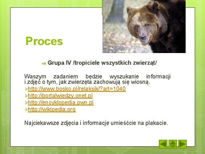 Proces Grupa IV /tropiciele wszystkich zwierząt/ Waszym zadaniem będzie wyszukanie informacji i zdjęć o