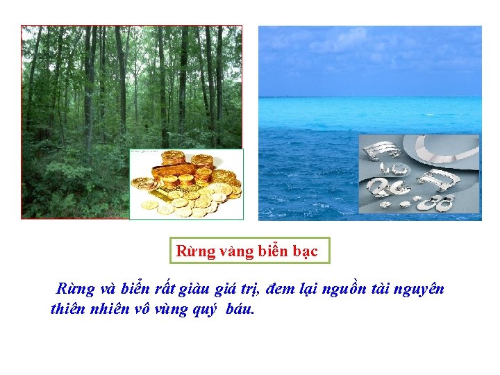 Rừng vàng biển bạc Rừng và biển rất giàu giá trị, đem lại nguồn