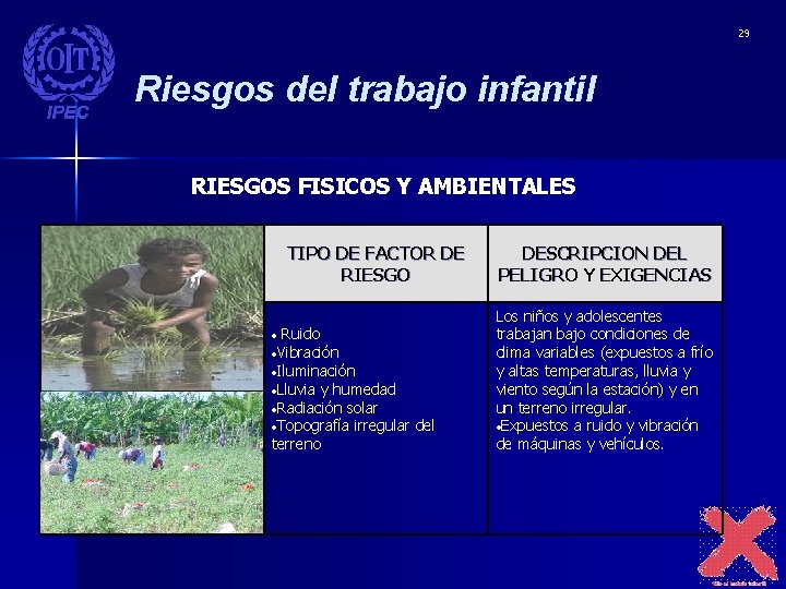 29 Riesgos del trabajo infantil RIESGOS FISICOS Y AMBIENTALES TIPO DE FACTOR DE RIESGO