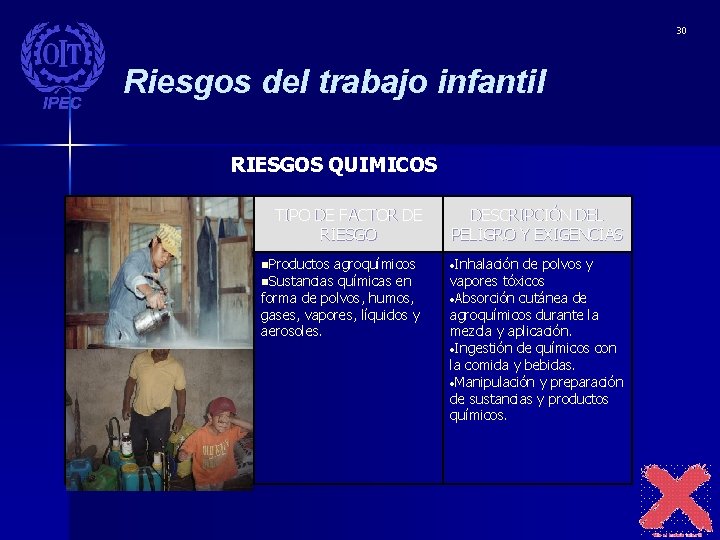 30 Riesgos del trabajo infantil RIESGOS QUIMICOS TIPO DE FACTOR DE RIESGO n. Productos