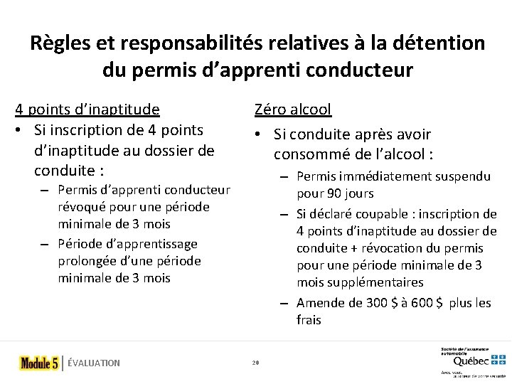 Règles et responsabilités relatives à la détention du permis d’apprenti conducteur 4 points d’inaptitude