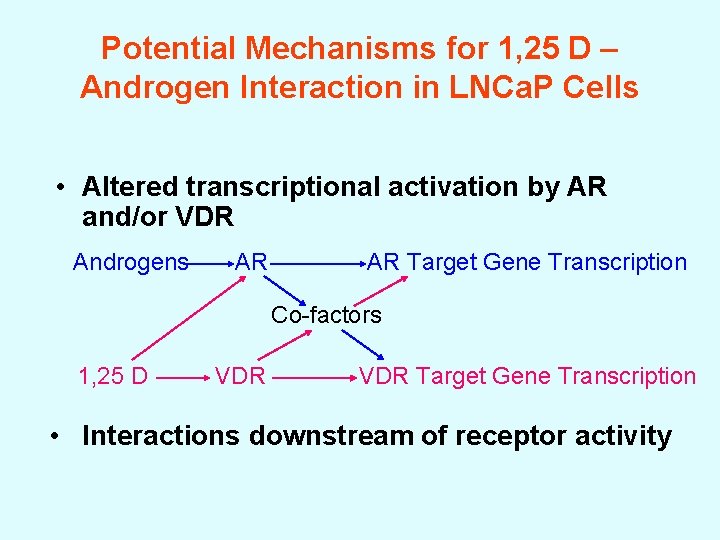 Potential Mechanisms for 1, 25 D – Androgen Interaction in LNCa. P Cells •
