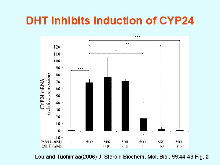 DHT Inhibits Induction of CYP 24 Lou and Tuohimaa(2006) J. Steroid Biochem. Mol. Biol.