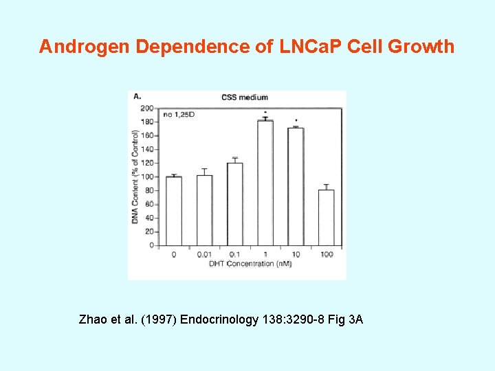 Androgen Dependence of LNCa. P Cell Growth Zhao et al. (1997) Endocrinology 138: 3290