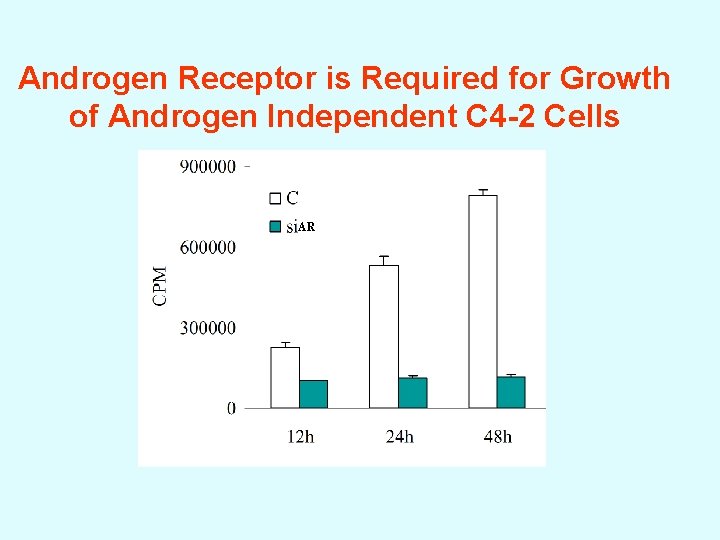 Androgen Receptor is Required for Growth of Androgen Independent C 4 -2 Cells AR
