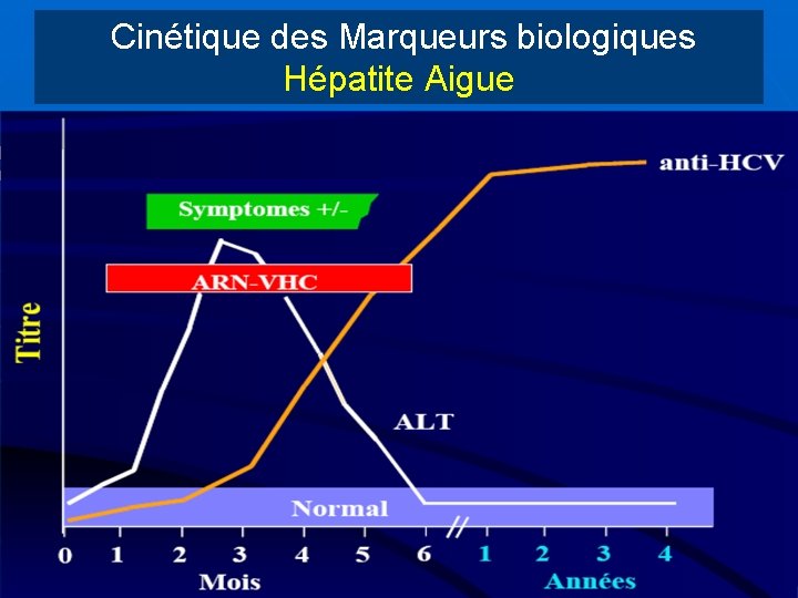 Cinétique des Marqueurs biologiques Hépatite Aigue Marqueurs réplication ARN VHC Ag VHC Ac anti-VHC
