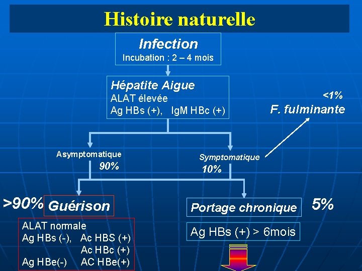 Histoire naturelle Infection Incubation : 2 – 4 mois Hépatite Aigue ALAT élevée Ag