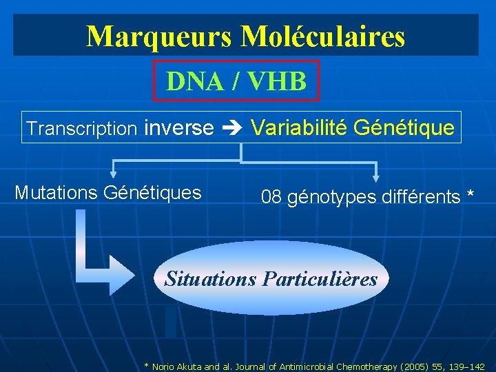 Marqueurs Moléculaires DNA / VHB Transcription inverse Variabilité Génétique Mutations Génétiques 08 génotypes différents