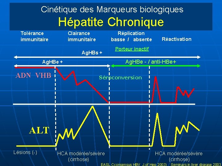 Cinétique des Marqueurs biologiques Hépatite Chronique Tolérance immunitaire Clairance immunitaire Réplication basse / absente
