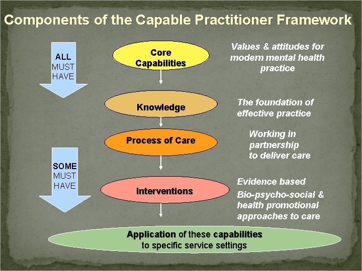 Components of the Capable Practitioner Framework ALL MUST HAVE Core Capabilities Values & attitudes