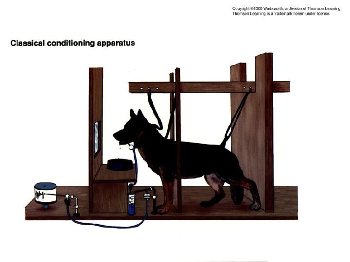 Classical Conditioning Apparatus Classical Conditioning Apparatus