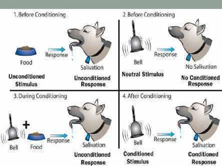Classical Conditioning Diagram Classical Conditioning Diagram