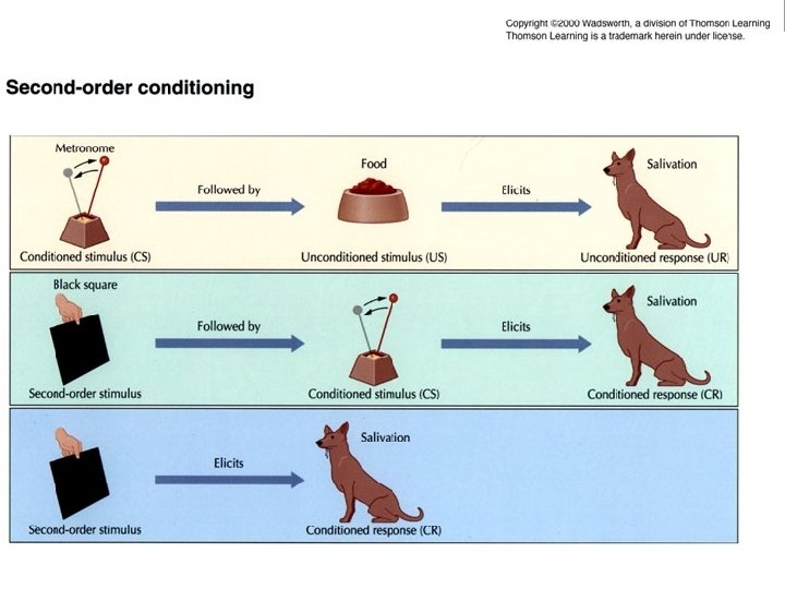 Second-Order Conditioning Second-Order Conditioning