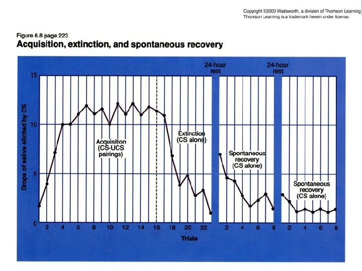 Acquisition, Extinction, Spont. Recovery Graph Acquisition, Extinction, Spont. Recovery Graph