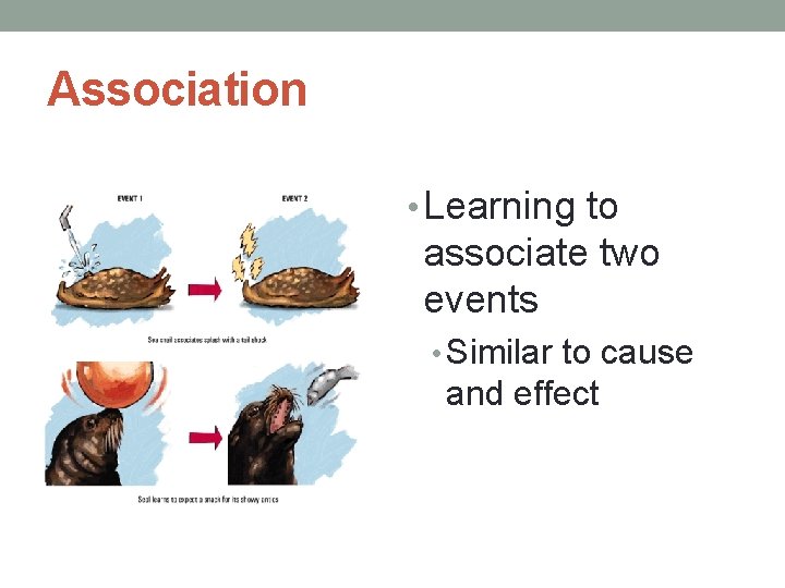 Association • Learning to associate two events • Similar to cause and effect Association • Learning to associate two events • Similar to cause and effect