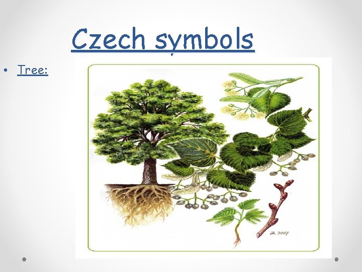 Czech symbols • Tree: 