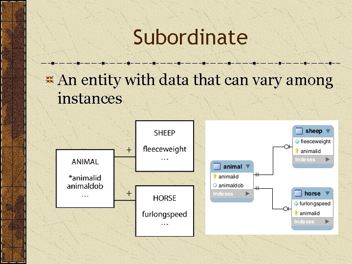 Subordinate An entity with data that can vary among instances 