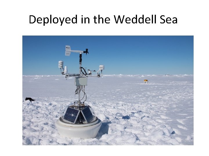 Deployed in the Weddell Sea 