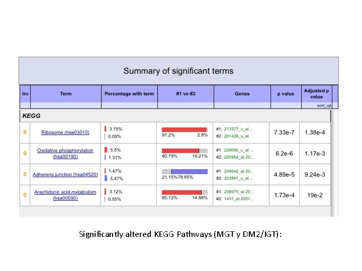 Significantly altered KEGG Pathways (MGT y DM 2/IGT): 
