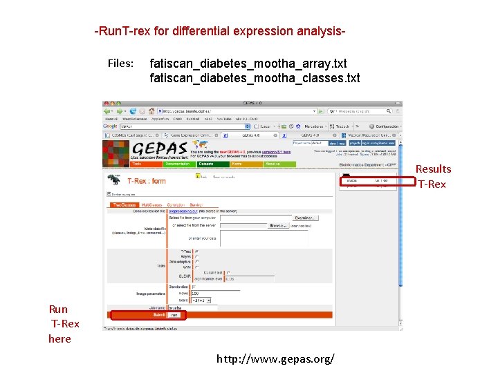 -Run. T-rex for differential expression analysis. Files: fatiscan_diabetes_mootha_array. txt fatiscan_diabetes_mootha_classes. txt Results T-Rex Run