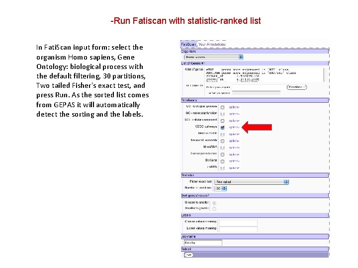 -Run Fatiscan with statistic-ranked list In Fati. Scan input form: select the organism Homo