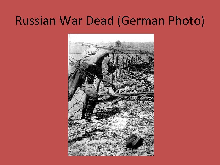 Russian War Dead (German Photo) 