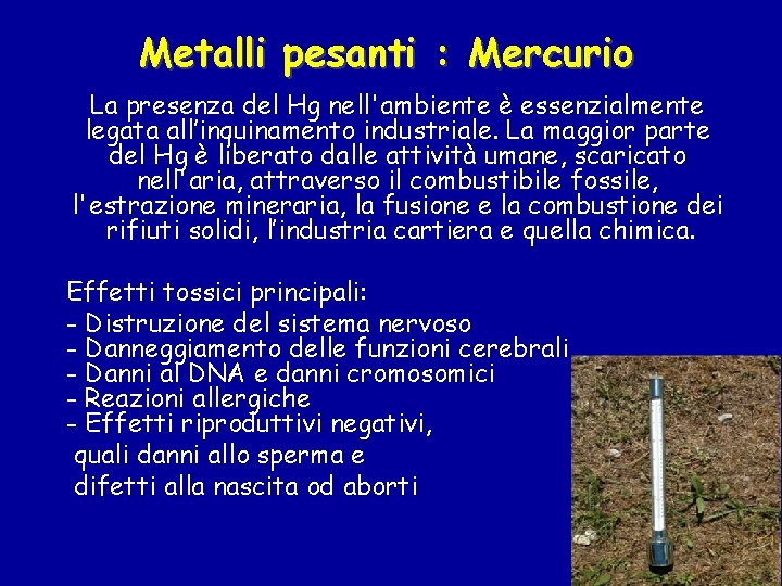 Metalli pesanti : Mercurio La presenza del Hg nell'ambiente è essenzialmente legata all’inquinamento industriale.