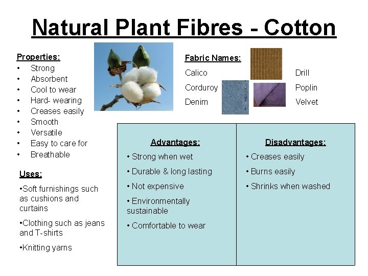 Natural Plant Fibres - Cotton Properties: • Strong • Absorbent • Cool to wear