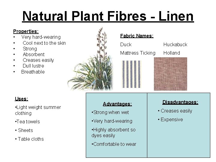 Natural Plant Fibres - Linen Properties: • Very hard-wearing • Cool next to the