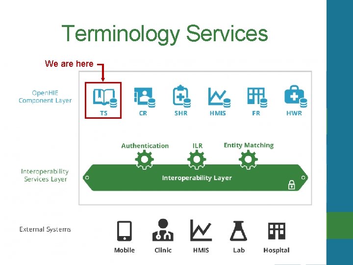 Terminology Services We are here 