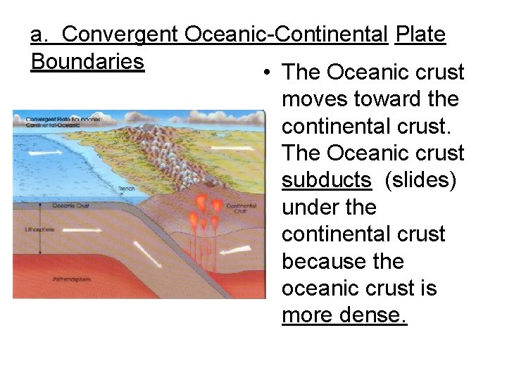 a. Convergent Oceanic-Continental Plate Boundaries • The Oceanic crust moves toward the continental crust.