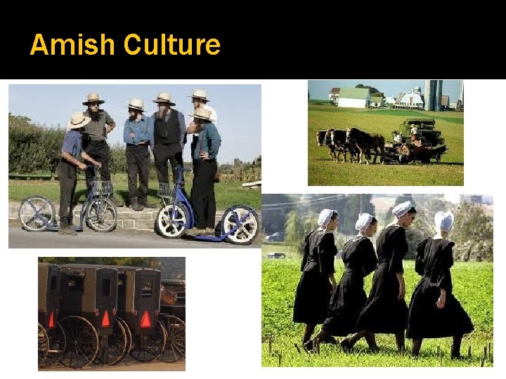 Amish Culture 